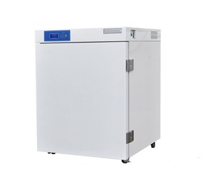 博科電熱恒溫培養(yǎng)箱DHP-9256B（有觀察門(mén)）