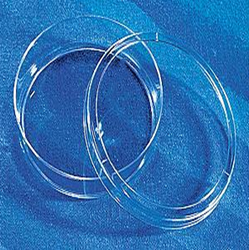 康寧/Corning430166細(xì)胞培養(yǎng)皿(60mm) TC處理，無(wú)菌