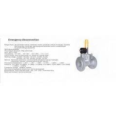 進(jìn)口低壓緊急切斷電磁閥（通電關(guān)閉、手動(dòng)打開(kāi)）