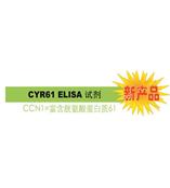 CYR61 是診斷 / 判斷乳腺癌惡化的腫瘤標(biāo)志物。
