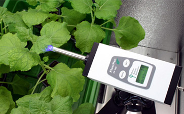 Monitoring Pen MP 100植物葉綠素?zé)晒鉁y(cè)量儀