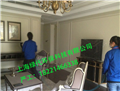 專業(yè)快速除甲醛除味公司，上海新裝修快速除甲醛公司，上海綠代環(huán)保lvdai-2280
