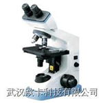 〖歐卡〗YS100生物顯微鏡/醫(yī)療教學配套生物顯微鏡
