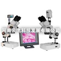 供應(yīng)云飛XTZ解剖鏡及成像設(shè)備，解剖鏡及成像設(shè)備廠家