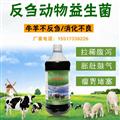 育肥牛過料嚴(yán)重怎么辦